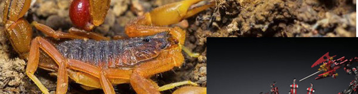 Are Red Scorpions Venomous? Are Red Scorpions Venomous?