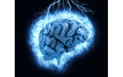 Boost Your Brain Power - 3 Activities that Activate the Brain