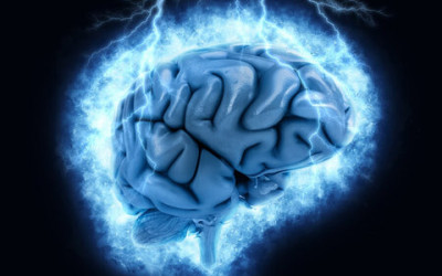 Boost Your Brain Power - 3 Activities that Activate the Brain