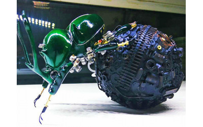 How does dung beetle save Australia's livestock industry?
