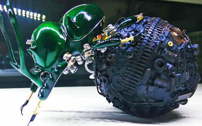 How does dung beetle save Australia's livestock industry?