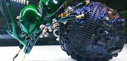 How does dung beetle save Australia's livestock industry?