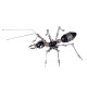 100pcs+ premium series metal worker ant diy 3d model building kits assembly insect