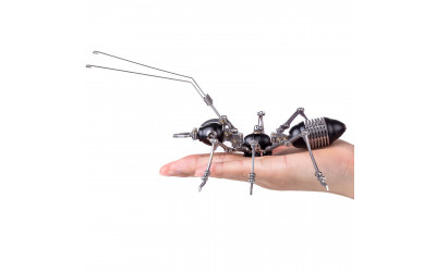 Build Your Beetle Kits to Learn at Home With Bugs