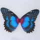 150pcs custom your steampunk butterfly 3d metal model kit