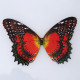 150pcs custom your steampunk butterfly 3d metal model kit