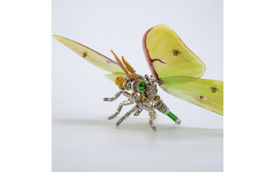 How much do you know about praying mantises?