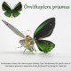 150pcs+ steampunk 3d metal ornithoptera priamus model diy kits