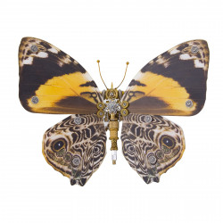 150pcs+ steampunk brown and orange  butterfly with spots 3d metal  model diy kits