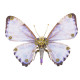 150pcs+ steampunk purple blue butterfly 3d metal model kits morpho godarti asarpai