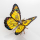 150pcs monarch butterfly steampunk assembly model