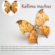 200pcs+ steampunk metal assembly butterfly caligo eurilochusa, kallima inachus & junonia almana