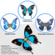 200pcs+ steampunk metal assembly butterfly morpho helena, papilio ulysses & dichorragia nesimachus