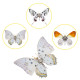 200pcs+steampunk metal assembly butterfly sericinus montelus grey, polyura delphis concha & hebomoia glaucippe