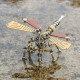 243pcs 3d diy mechanical assembly metal dragonfly insect puzzle model kit