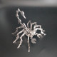 2pcs little scorpion & spider king diy stainless steel metal puzzle model