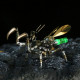 300pcs+ steampunk little mantis with glow light 3d metal insect model diy kits