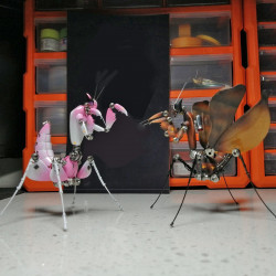 3d metal deroplatys mantis bug insect model kits sculpture assembled crafts for home decor