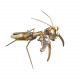 3d metal mechanical copper mantis insects model steampunk crafts
