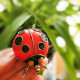 3d metal steampunk coccinellidae ladybird sculpture model for collection