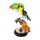 3d metal steampunk toucan bird animals sculpture  assembled model kits collection