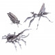 3pcs diy 3d mantis beatles cicada assembled model puzzle 3pcs diy 3d mantis beatles cicada assembled model puzzle