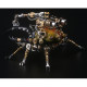 3pcs metal 3d eastern lucaninae beetles insect mechanical assembly model