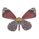 3pcs/ set steampunk red lacewing butterfly 3d metal model kits for her