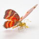 3pcs/ set steampunk red lacewing butterfly 3d metal model kits for her