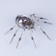 assembly metal mechanical steel 3.0 spider puzzle kit