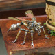 blind box 3pcs/set diy mechanical assembly metal steampunk insect puzzle model kit blind box 3pcs/set diy mechanical assembly metal steampunk insect puzzle model kit