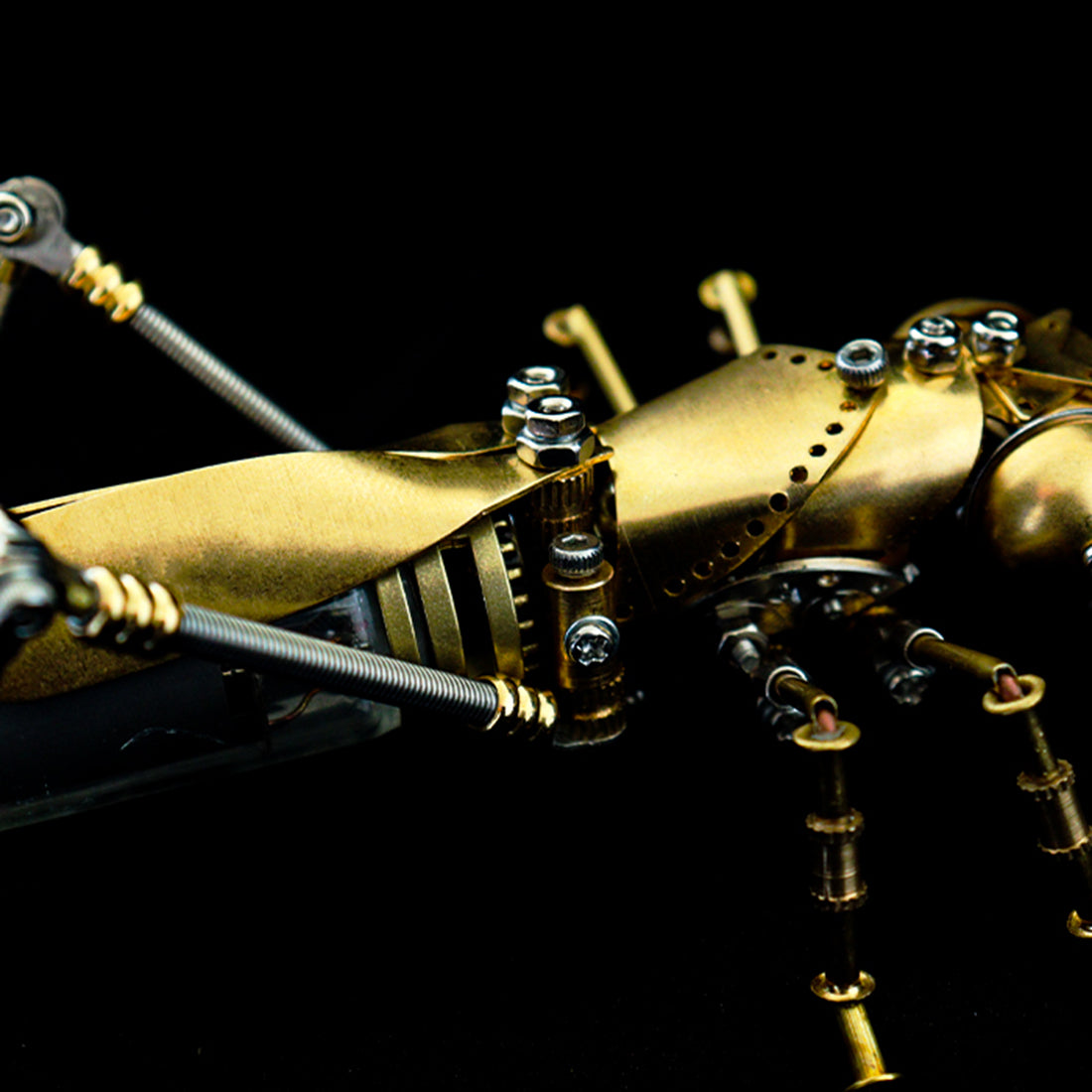 Hand Made Metal Insect brass insect metal beetle model insect handmade crafts collection ...