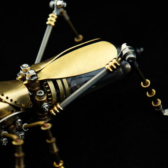 brass insect metal beetle model insect handmade crafts collection