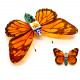 butterfly model diy assembly mechanical insect puzzle handmade toy set with voice-activated photo frame