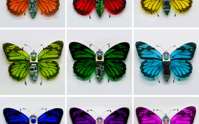 Green Colored Butterflies