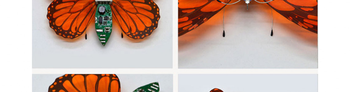 Butterfly Mythology Butterfly Mythology