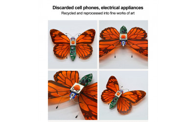 Butterfly Mythology
