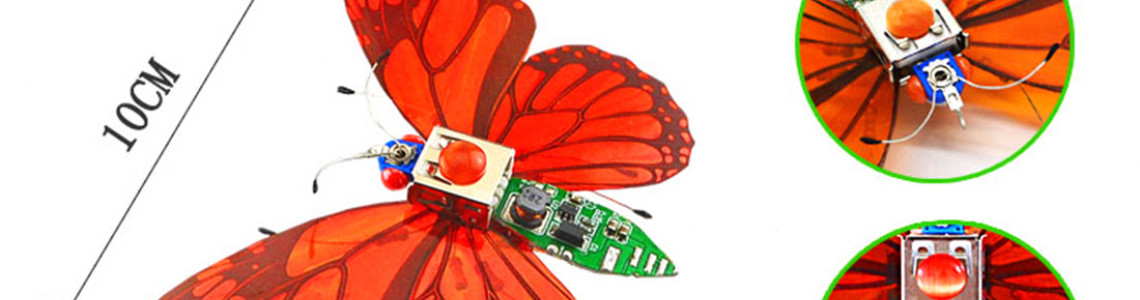 Red Colored Butterflies Red Colored Butterflies