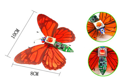 Red Colored Butterflies
