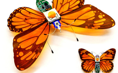 Triple Build: Butterflies!!!