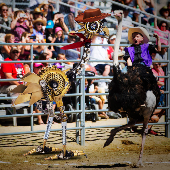 classic ostrich western cowboy 350pcs 3d metal model kits steampunk animal