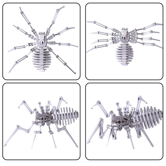 detachable diy assembly 3d insects series model kit - beatles spider