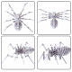 detachable diy assembly 3d insects series model kit - beatles spider