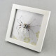 diy electronic insect kit handmade 4 spiders model with glow light