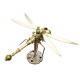 golden 3d metal mechanical steampunk dragonfly  insects model with random base