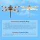 golden dragonfly kinetic art 3d metal model kits 100pcs