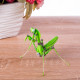 green mantis steampunk bug  assembled model kits metal 3d  sculpture crafts