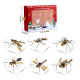 insect bugs advent calendar diy model kit blind box 7 days to go christmas