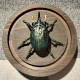 little green beetle steampunk insect metal bug model