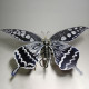 mechanical metal black and white butterfly steampunk insect sculpture art  assembled